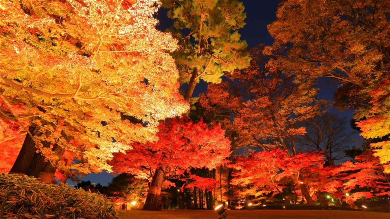 【2026年最新】関東の紅葉名所28選！見頃時期やライトアップ情報も紹介