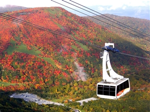 那須のおすすめ観光スポット20選｜自然・温泉・グルメを満喫する完全ガイド